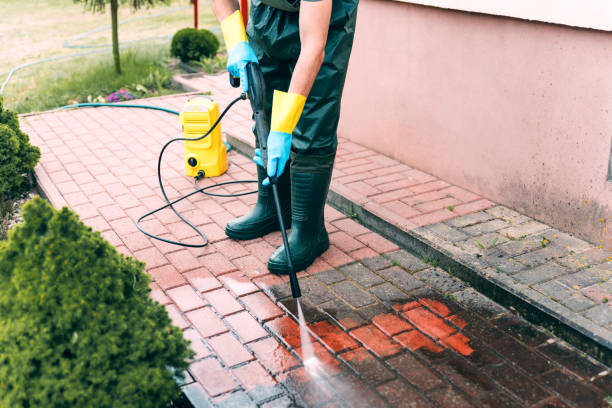 Best Dumpster Area Cleaning  in Baywood, NY